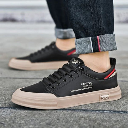 gid://shopify/MediaImage/24691961987166